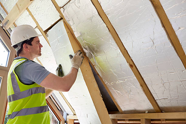 Best Home Insulation Services  in East Camden, AR